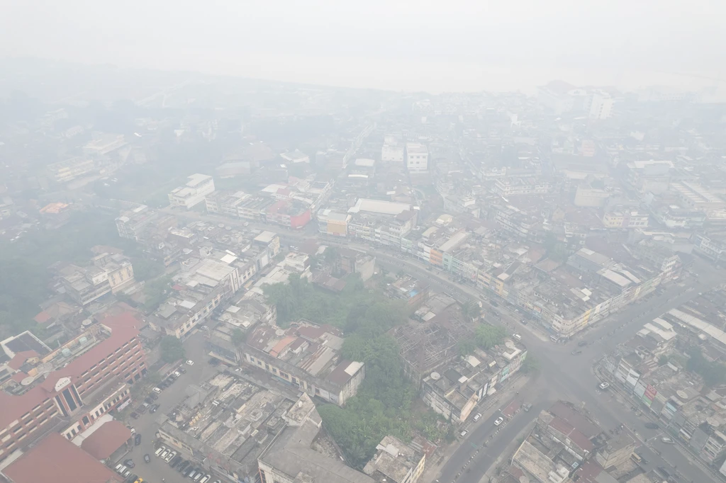 11.795 Warga Kota Jambi Tercatat ISPA, Kabut Asap Karhutla Picu Kekhawatiran Kesehatan