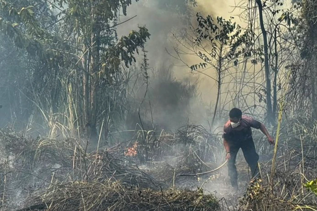 Karhutla Meluas di Nabire, 396 Hektare Lahan Terbakar di 7 Distrik