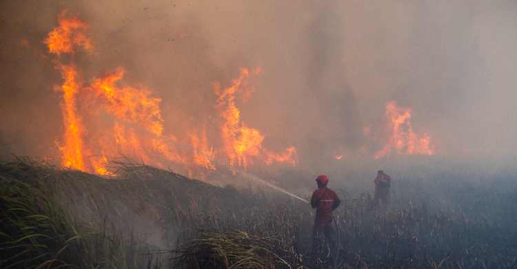 Karhutla Masih Mengancam, Riau Nihil Hotspot tetapi Kalsel dan Sumsel Belum Padam