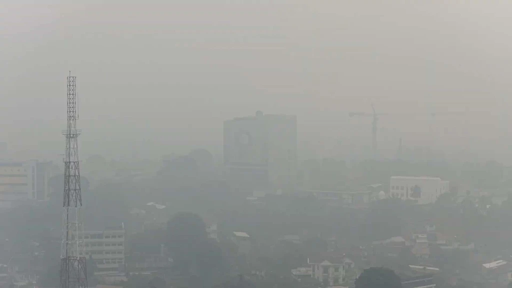 Kabut Asap Karhutla Selimuti Jambi, Jarak Pandang Menipis hingga Ganggu Penerbangan