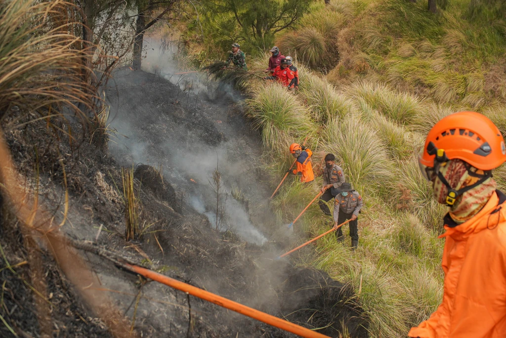 Karhutla Kembali Kepung Bromo, Sedikitnya 10 Titik Api Terdeteksi dan Akses Wisata Ditutup