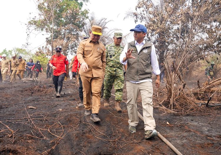 Menhut Segel Lokasi Bekas Karhutla di Kalbar, Penanaman Sawit Dihentikan dan Alat Berat Disita
