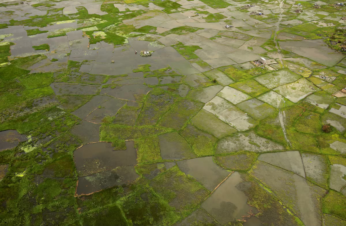 Super El Nino Ancam Afrika, Potensi Kerugian Ekonomi Capai US$20 Miliar